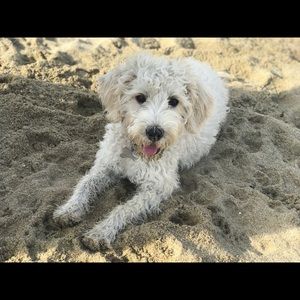 Meet your Posher, Gail